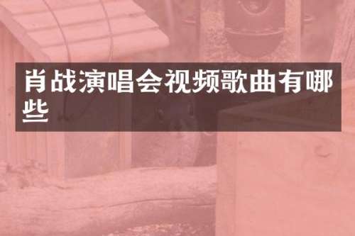 肖战演唱会视频歌曲有哪些
