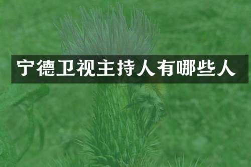 宁德卫视主持人有哪些人