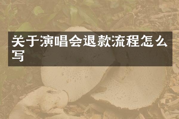 关于演唱会退款流程怎么写