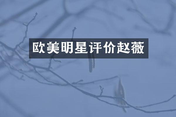 欧美明星评价赵薇