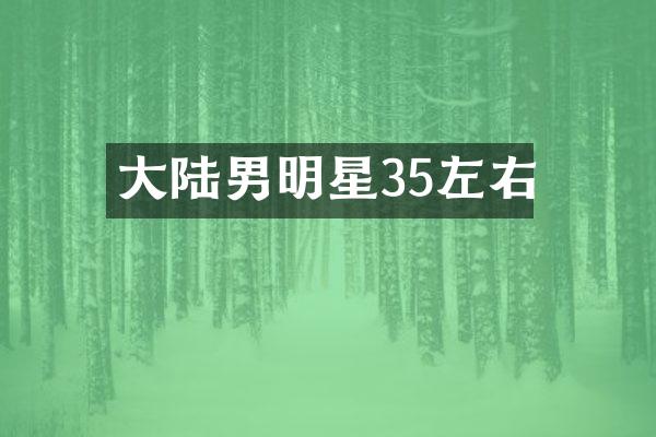 大陆男明星35左右