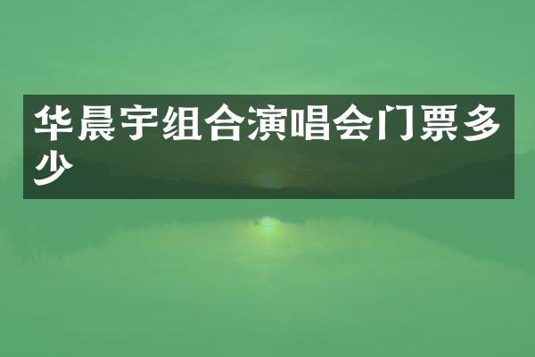 华晨宇组合演唱会门票多少