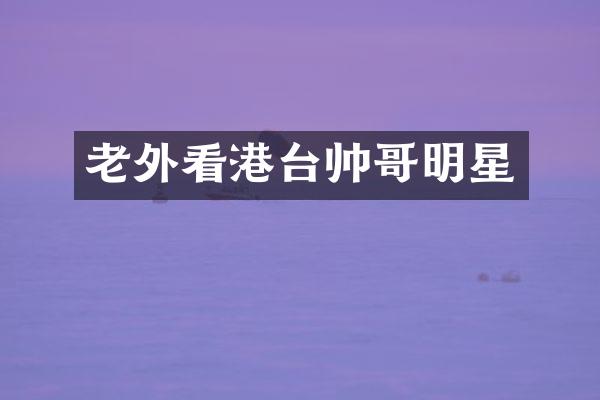 老外看港台帅哥明星