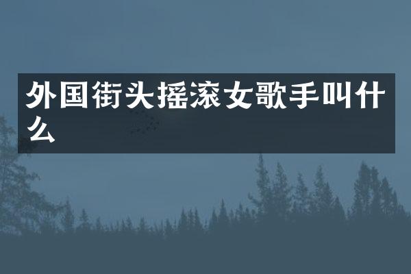 外国街头摇滚女歌手叫什么