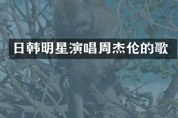 日韩明星演唱周杰伦的歌