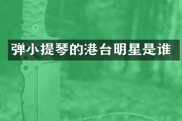 弹小提琴的港台明星是谁