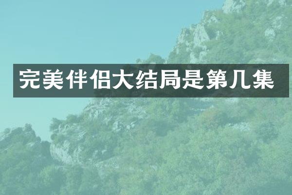 完美伴侣大结局是第几集