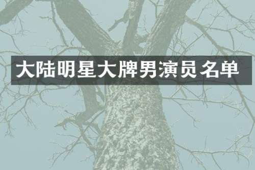 大陆明星大牌男演员名单