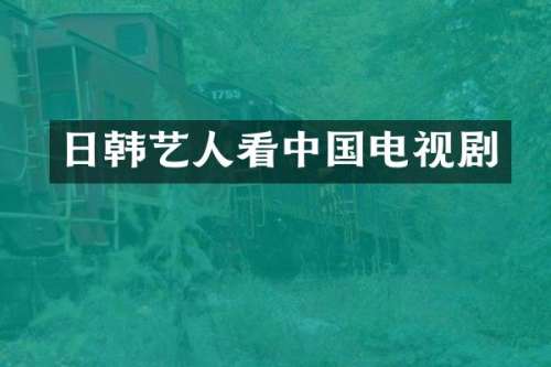日韩艺人看中国电视剧