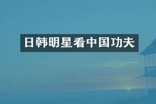 日韩明星看中国功夫