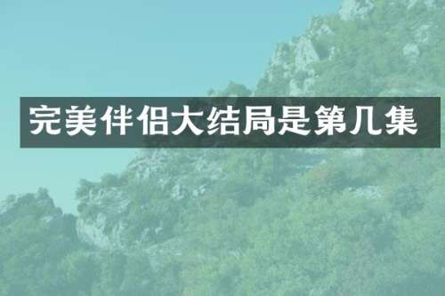 完美伴侣大结局是第几集