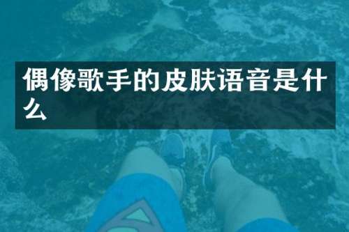 偶像歌手的皮肤语音是什么