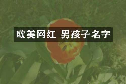 欧美网红 男孩子名字