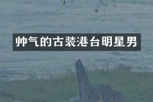 帅气的古装港台明星男