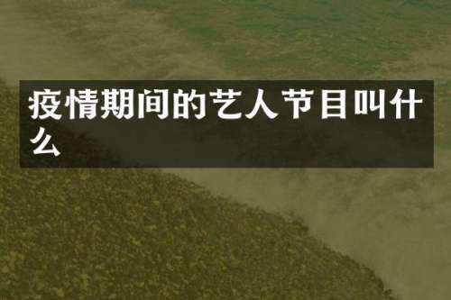 疫情期间的艺人节目叫什么