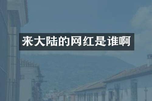 来大陆的网红是谁啊