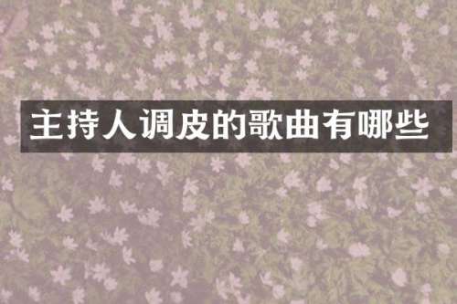 主持人调皮的歌曲有哪些