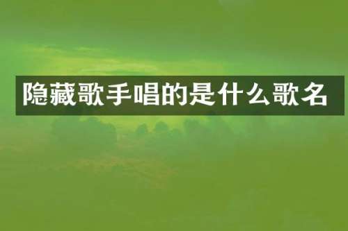 隐藏歌手唱的是什么歌名