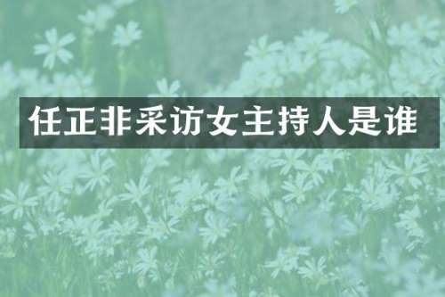 任正非采访女主持人是谁