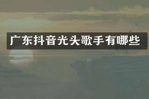 广东抖音光头歌手有哪些