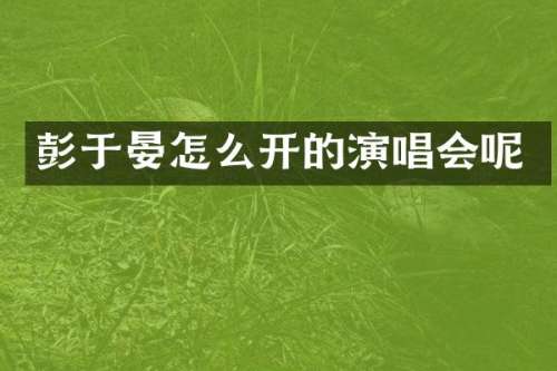 彭于晏怎么开的演唱会呢