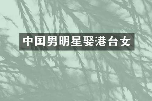 中国男明星娶港台女