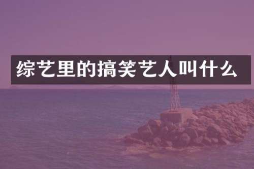 综艺里的搞笑艺人叫什么