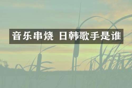 音乐串烧 日韩歌手是谁