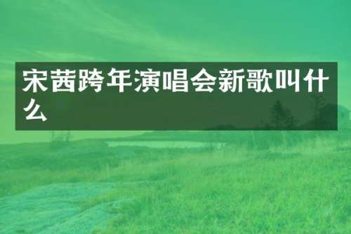 宋茜跨年演唱会新歌叫什么
