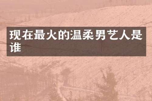 现在最火的温柔男艺人是谁