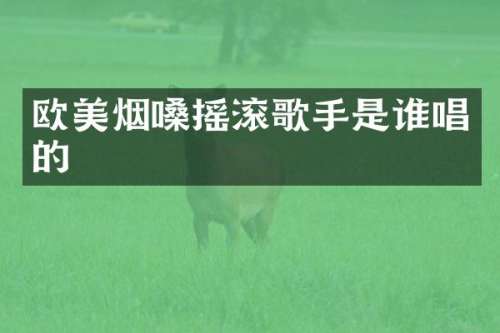 欧美烟嗓摇滚歌手是谁唱的