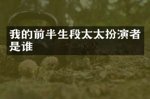 我的前半生段太太扮演者是谁