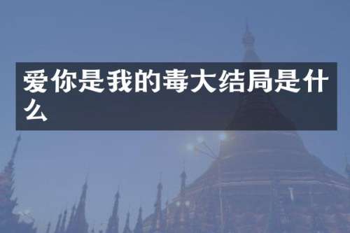 爱你是我的毒大结局是什么
