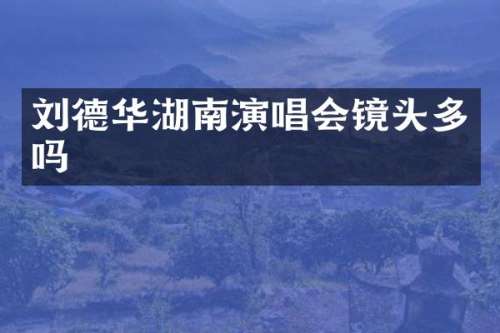 刘德华湖南演唱会镜头多吗