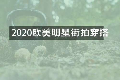 2020欧美明星街拍穿搭
