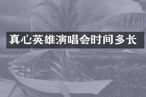 真心英雄演唱会时间多长