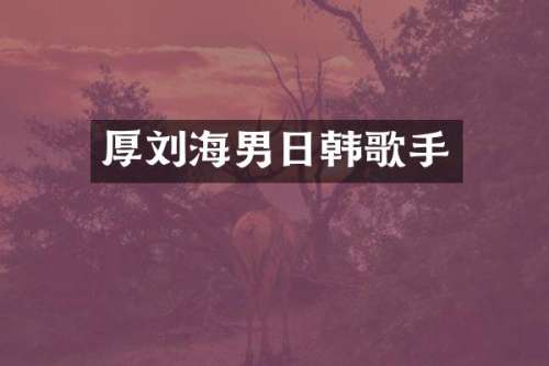 厚刘海男日韩歌手