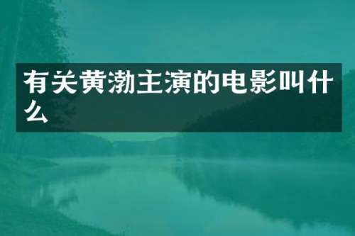 有关黄渤主演的电影叫什么