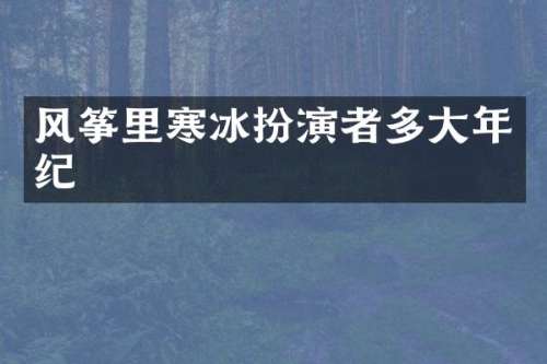 风筝里寒冰扮演者多大年纪