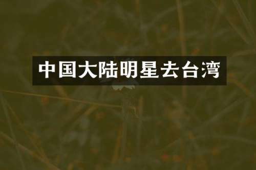 中国大陆明星去台湾