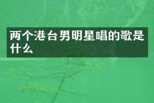 两个港台男明星唱的歌是什么