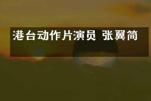 港台动作片演员 张翼简介