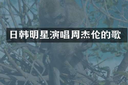 日韩明星演唱周杰伦的歌