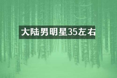 大陆男明星35左右