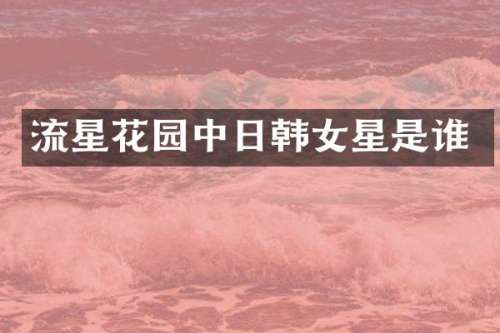 流星花园中日韩女星是谁