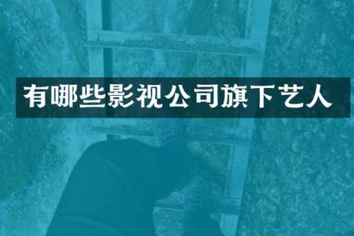 有哪些影视公司旗下艺人