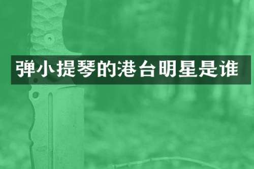 弹小提琴的港台明星是谁