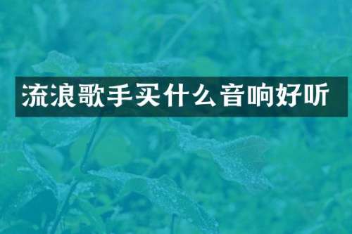 流浪歌手音响好听