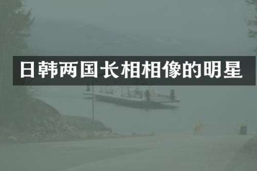 日韩两国长相相像的明星