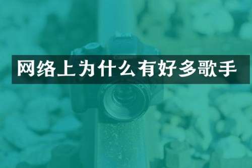 网络上为什么有好多歌手